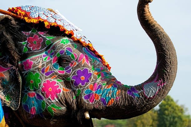 India's Rural Charm with Fort and Safari Rajasthan – 12 Days 11 Nights